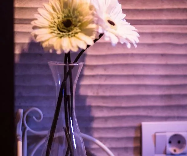 Casa Irma, Great Sea And Mountains Views, Rural House 펜션 아데제