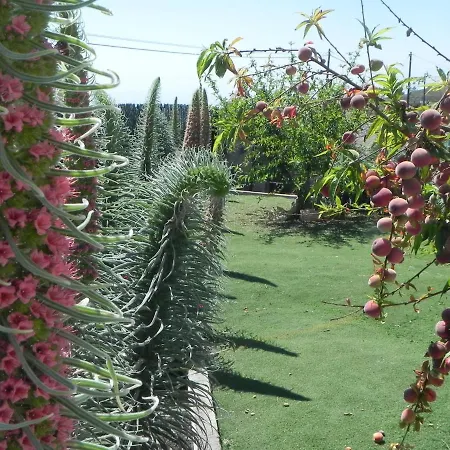 Casa Irma, Great Sea And Mountains Views, Rural House Holiday home Costa Adeje (Tenerife)